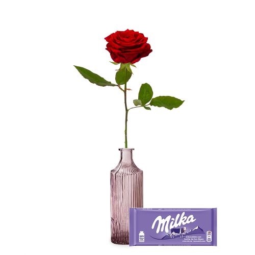 Rose and chocolate gift set (Standard)